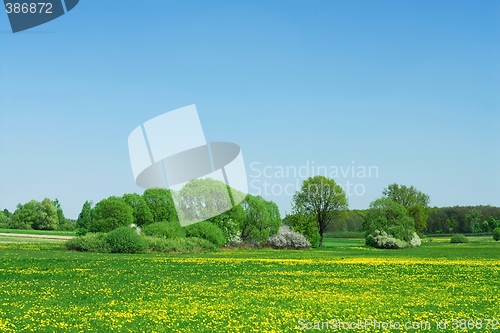 Image of Spring Landscape