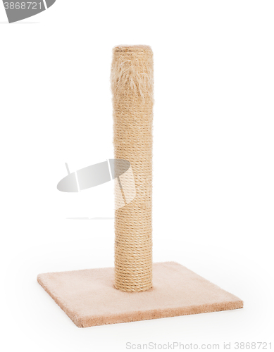 Image of Cat scratching post