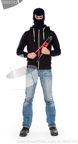 Image of Robber with red bolt cutters