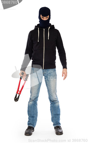 Image of Robber with red bolt cutters