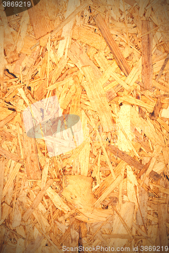 Image of recycled pressed tree shavings