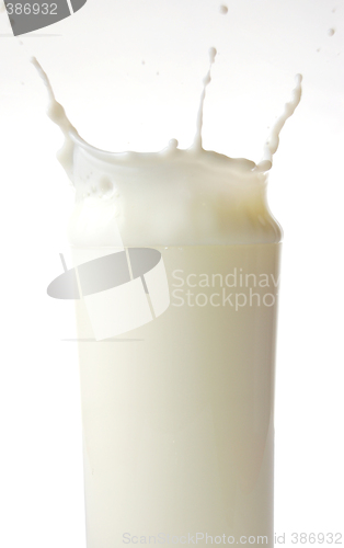 Image of Milk