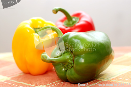 Image of Fresh Vegetables