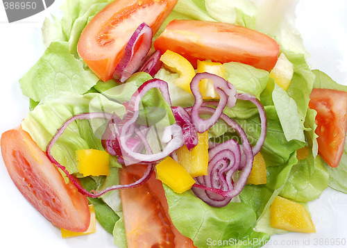 Image of Salad