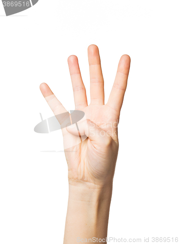 Image of close up of hand showing four fingers