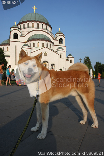 Image of Church of Saint Sava