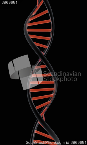 Image of DNA structure model