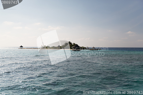 Image of maldives island beach with palm tree and villa