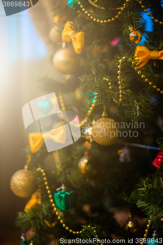 Image of Christmas tree closeup