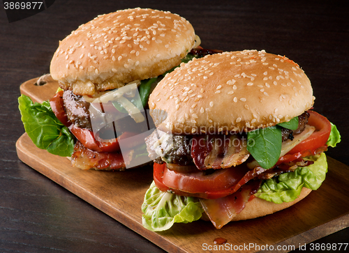 Image of Two Tasty Hamburgers