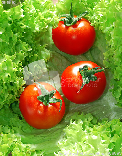 Image of Fresh salad with tomatoes