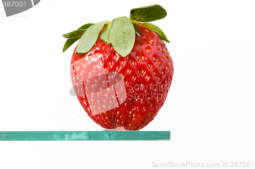 Image of Fresh strawberry