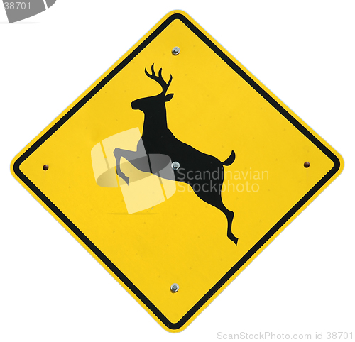 Image of Deer Crossing
