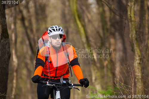 Image of Mountain Bike cyclist riding single track