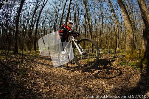 Image of Cyclist Riding the Bike