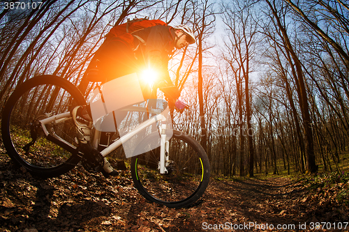 Image of Cyclist Riding the Bike