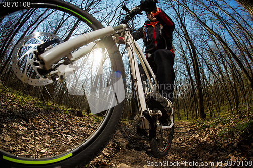 Image of Cyclist Riding the Bike