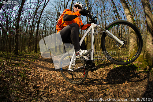 Image of Cyclist Riding the Bike