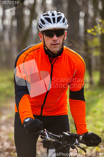 Image of Mountain Bike cyclist riding single track