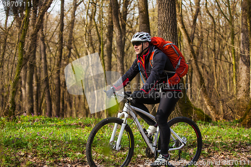 Image of Mountain Bike cyclist riding single track