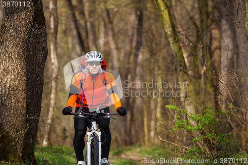 Image of Mountain Bike cyclist riding single track