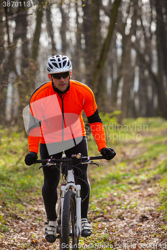 Image of Mountain Bike cyclist riding single track