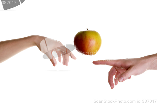 Image of Apple illusion