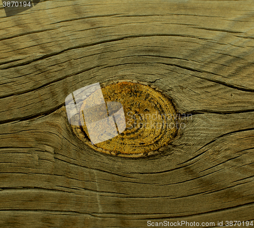Image of Stain Knot Wooden Background