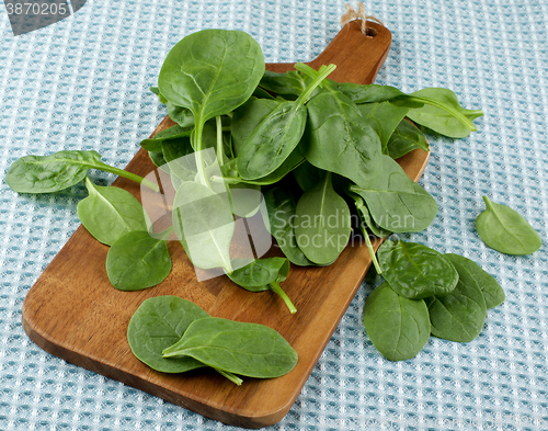 Image of Raw Spinach Leafs