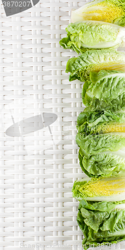 Image of Frame of Romaine Lettuce