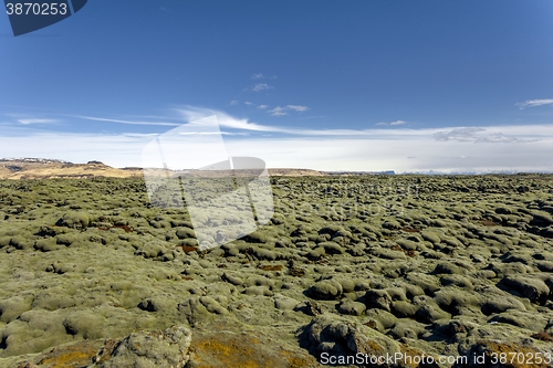 Image of Iceland lava field covered with green moss