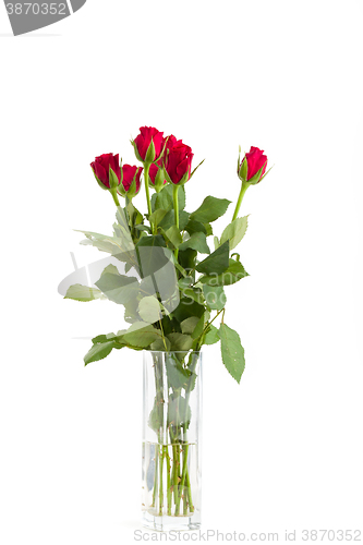 Image of Bouquet of fresh red roses