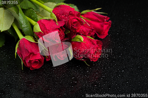 Image of fresh red rose