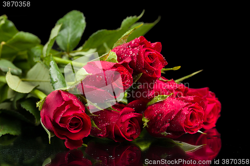 Image of fresh red roses