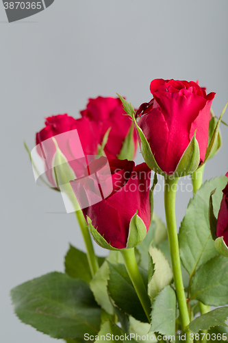 Image of Bouquet of fresh red roses