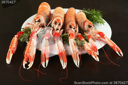 Image of Delicious Raw Langoustines