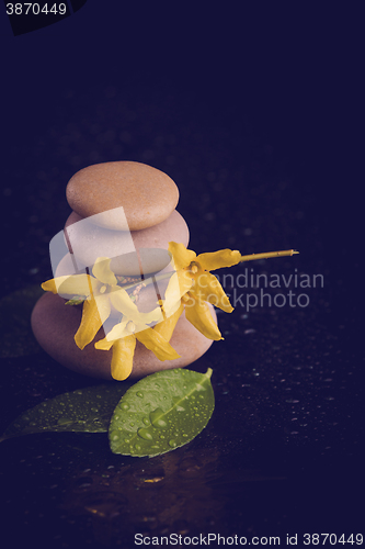 Image of balancing zen stones on black with yellow flower