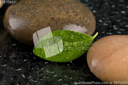 Image of zen stones on black with water drops