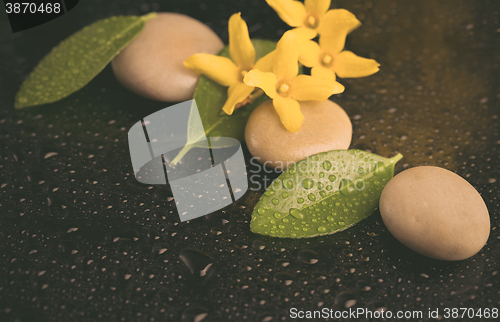 Image of pebbles and yellow flower on black with water drops