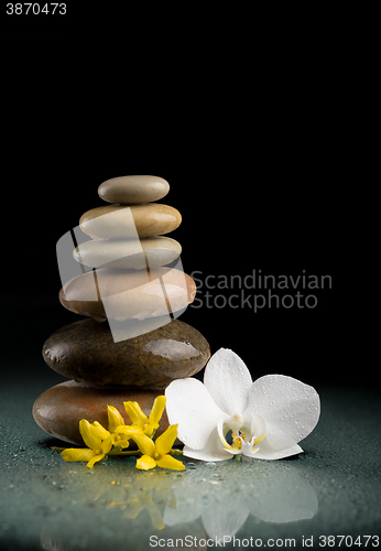 Image of balancing zen stones on black with white flower