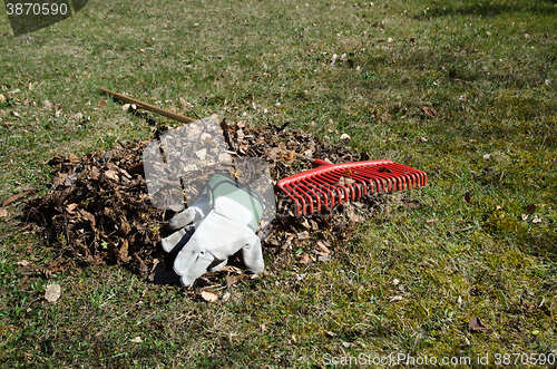 Image of Heap of dry leaves at a break in the garden