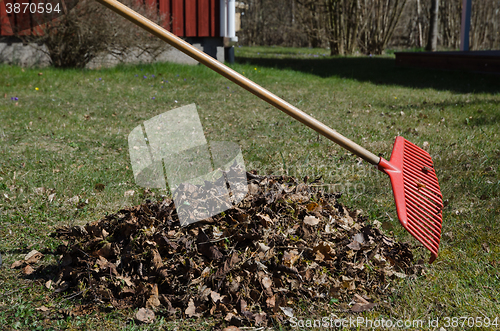 Image of Rake and a heap of dry leaves in a garden