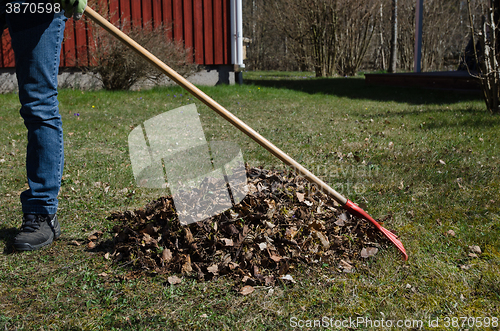 Image of Raking dry leaves at spring