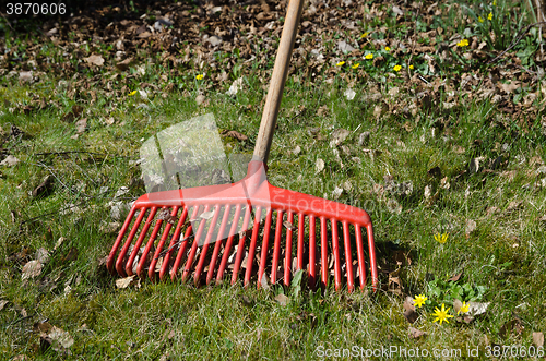 Image of Rake among leaves at spring