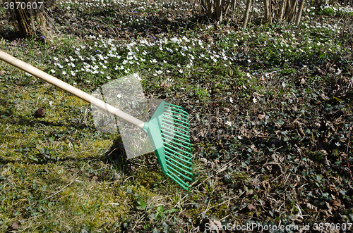 Image of Spring gardening with a green rake