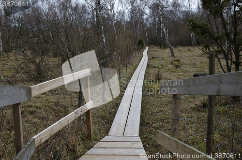 Image of Wooden footpath in a nordic landscape