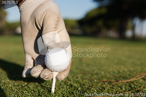 Image of close up of golf players hand placing ball on tee