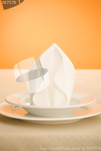 Image of Napkin on the plate