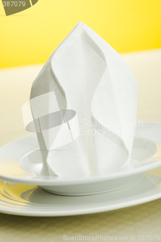 Image of Napkin on the plate