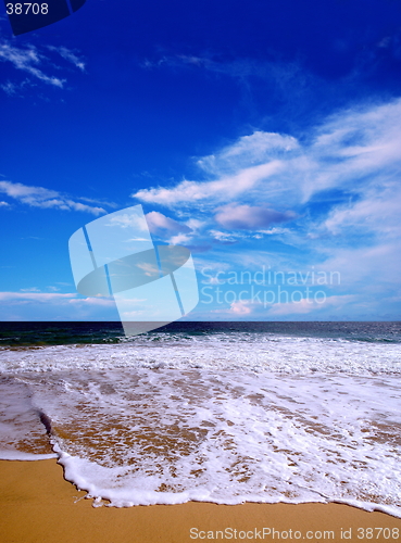 Image of Beach in summer